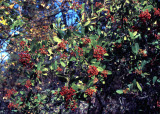Select an image to enlarge