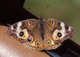 Select an image to enlarge