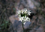 Select an image to enlarge