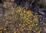 Select an image to enlarge