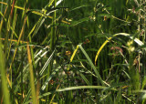 Select an image to enlarge