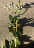 Select an image to enlarge