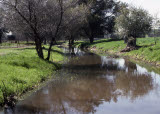 Select an image to enlarge