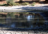 Select an image to enlarge