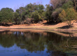 Select an image to enlarge