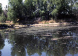 Select an image to enlarge