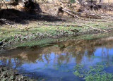 Select an image to enlarge