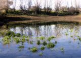 Select an image to enlarge
