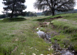 Select an image to enlarge