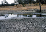 Select an image to enlarge