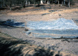 Select an image to enlarge