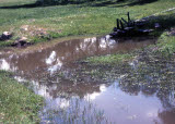 Select an image to enlarge