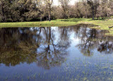 Select an image to enlarge