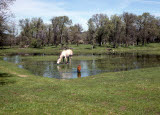 Select an image to enlarge