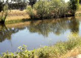 Select an image to enlarge