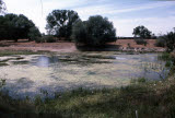 Select an image to enlarge