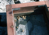 Select an image to enlarge