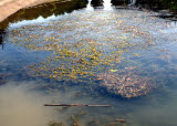 Select an image to enlarge