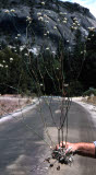 Select an image to enlarge