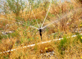 Select an image to enlarge
