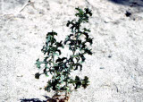 Select an image to enlarge