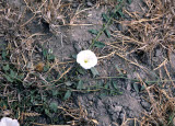 Select an image to enlarge