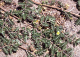 Select an image to enlarge