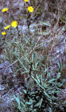 Select an image to enlarge