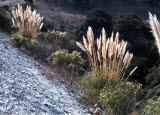 Select an image to enlarge
