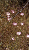 Select an image to enlarge