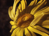 Select an image to enlarge