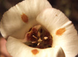 Select an image to enlarge