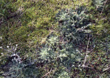 Select an image to enlarge