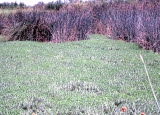 Select an image to enlarge
