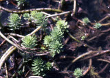 Select an image to enlarge