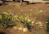Select an image to enlarge