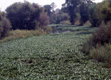 Select an image to enlarge