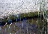 Select an image to enlarge