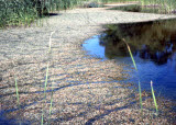 Select an image to enlarge