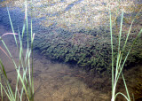 Select an image to enlarge