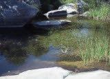 Select an image to enlarge