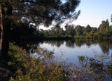 Select an image to enlarge