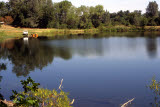 Select an image to enlarge