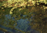 Select an image to enlarge
