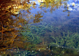 Select an image to enlarge