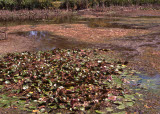 Select an image to enlarge