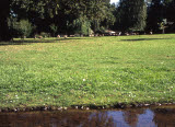 Select an image to enlarge