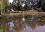 Select an image to enlarge