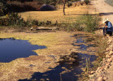 Select an image to enlarge