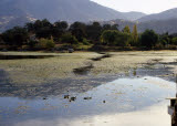 Select an image to enlarge